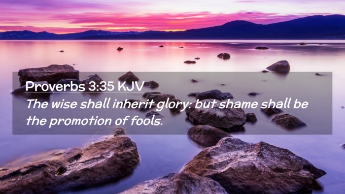 Picture 02 - Proverbs 3:35 KJV Desktop Wallpaper - The wise shall inherit glory: but shame shall be - Desktop Bible Verse Wallpaper
