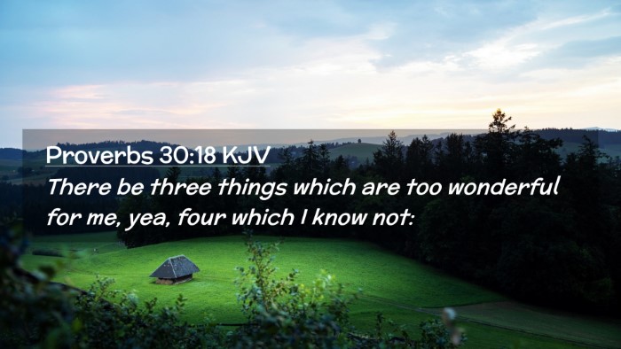 Picture 02 - Proverbs 30:18 KJV Desktop Wallpaper - There be three things which are too wonderful for - Desktop Bible Verse Wallpaper