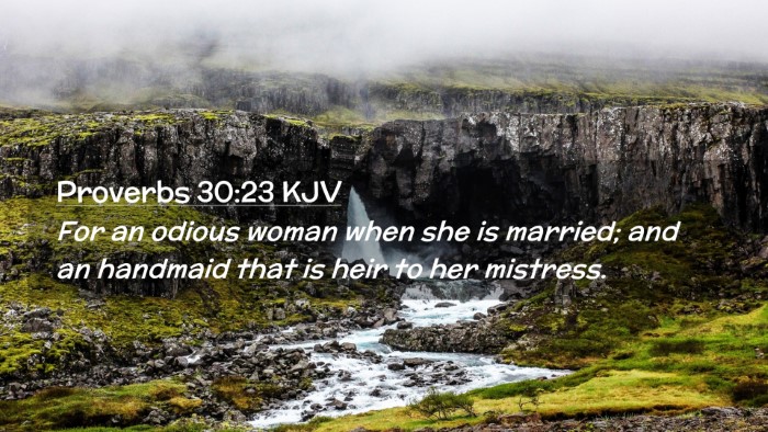 Picture 02 - Proverbs 30:23 KJV Desktop Wallpaper - For an odious woman when she is married; and an - Desktop Bible Verse Wallpaper