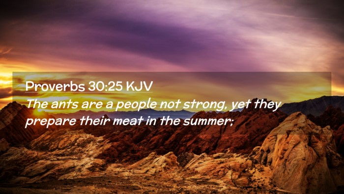 Picture 02 - Proverbs 30:25 KJV Desktop Wallpaper - The ants are a people not strong, yet they - Desktop Bible Verse Wallpaper