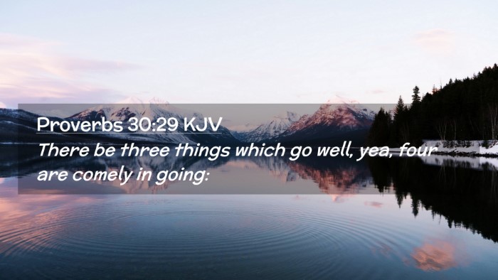 Picture 02 - Proverbs 30:29 KJV Desktop Wallpaper - There be three things which go well, yea, four - Desktop Bible Verse Wallpaper