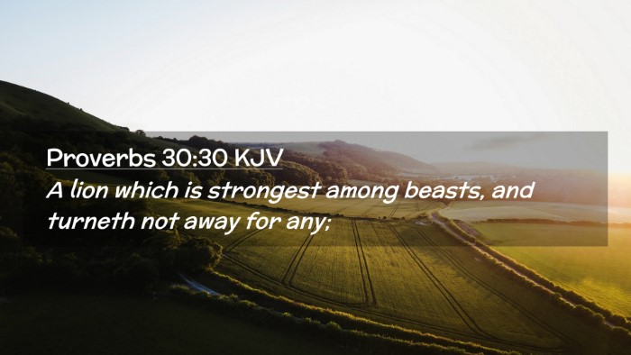 Picture 02 - Proverbs 30:30 KJV Desktop Wallpaper - A lion which is strongest among beasts, and - Desktop Bible Verse Wallpaper