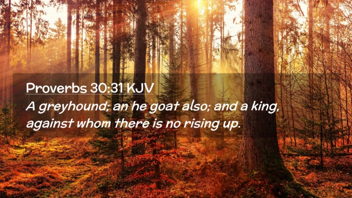Picture 02 - Proverbs 30:31 KJV Desktop Wallpaper - A greyhound; an he goat also; and a king, against - Desktop Bible Verse Wallpaper