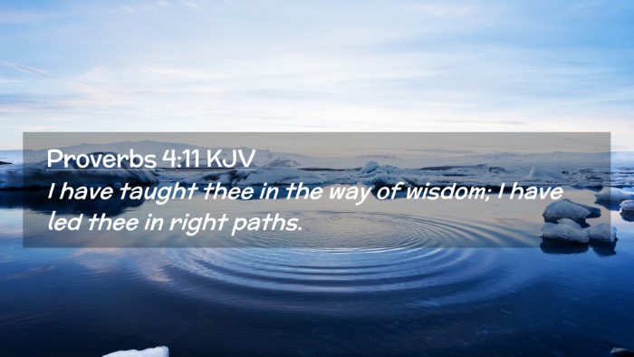 Picture 02 - Proverbs 4:11 KJV Desktop Wallpaper - I have taught thee in the way of wisdom; I have - Desktop Bible Verse Wallpaper