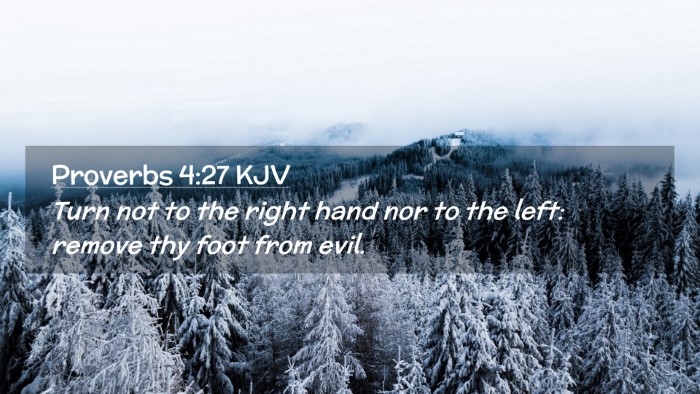 Picture 02 - Proverbs 4:27 KJV Desktop Wallpaper - Turn not to the right hand nor to the left: - Desktop Bible Verse Wallpaper