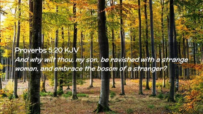 Picture 02 - Proverbs 5:20 KJV Desktop Wallpaper - And why wilt thou, my son, be ravished with a - Desktop Bible Verse Wallpaper