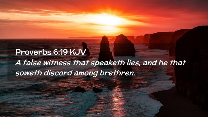 Picture 02 - Proverbs 6:19 KJV Desktop Wallpaper - A false witness that speaketh lies, and he that - Desktop Bible Verse Wallpaper