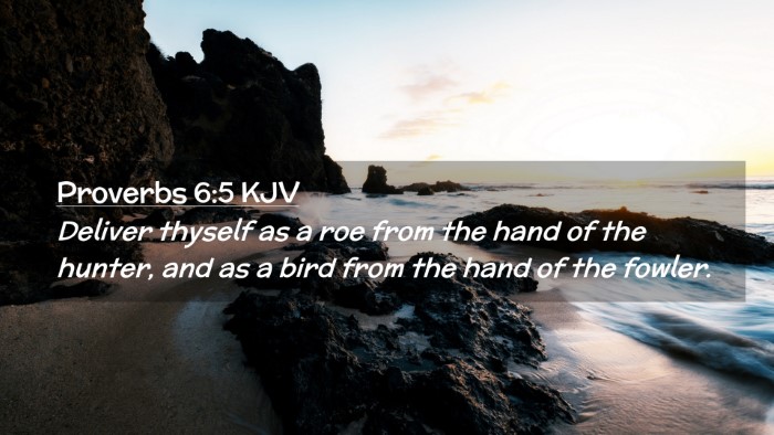 Picture 02 - Proverbs 6:5 KJV Desktop Wallpaper - Deliver thyself as a roe from the hand of the - Desktop Bible Verse Wallpaper