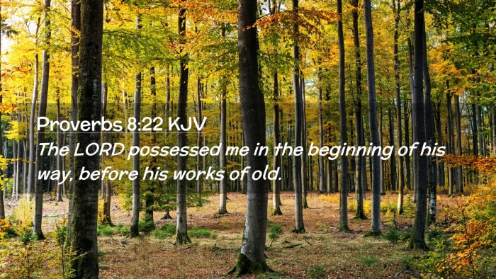 Picture 02 - Proverbs 8:22 KJV Desktop Wallpaper - The LORD possessed me in the beginning of his - Desktop Bible Verse Wallpaper