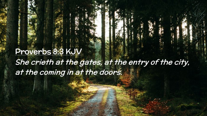 Picture 02 - Proverbs 8:3 KJV Desktop Wallpaper - She crieth at the gates, at the entry of the - Desktop Bible Verse Wallpaper