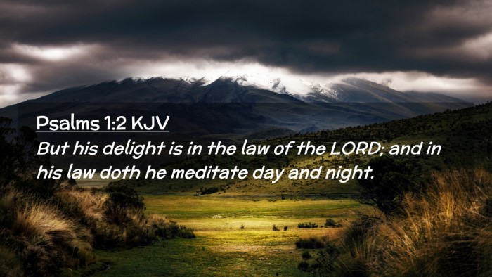 Picture 02 - Psalms 1:2 KJV Desktop Wallpaper - But his delight is in the law of the LORD; and in - Desktop Bible Verse Wallpaper