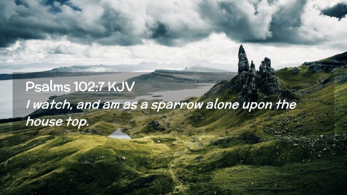 Picture 02 - Psalms 102:7 KJV Desktop Wallpaper - I watch, and am as a sparrow alone upon the house - Desktop Bible Verse Wallpaper