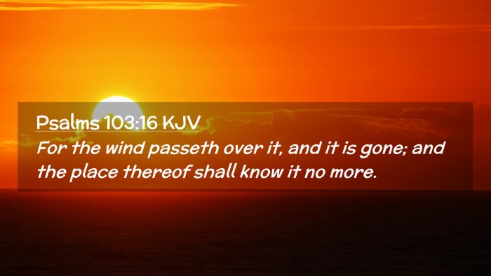 Picture 02 - Psalms 103:16 KJV Desktop Wallpaper - For the wind passeth over it, and it is gone; and - Desktop Bible Verse Wallpaper