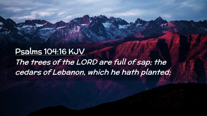Picture 02 - Psalms 104:16 KJV Desktop Wallpaper - The trees of the LORD are full of sap; the cedars - Desktop Bible Verse Wallpaper