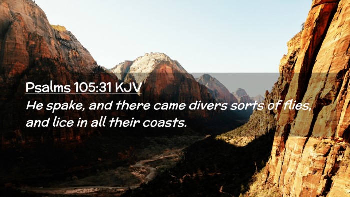 Picture 02 - Psalms 105:31 KJV Desktop Wallpaper - He spake, and there came divers sorts of flies, - Desktop Bible Verse Wallpaper