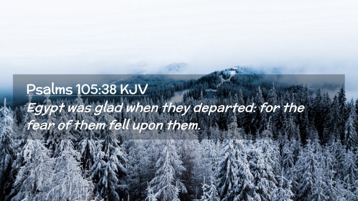 Picture 02 - Psalms 105:38 KJV Desktop Wallpaper - Egypt was glad when they departed: for the fear - Desktop Bible Verse Wallpaper