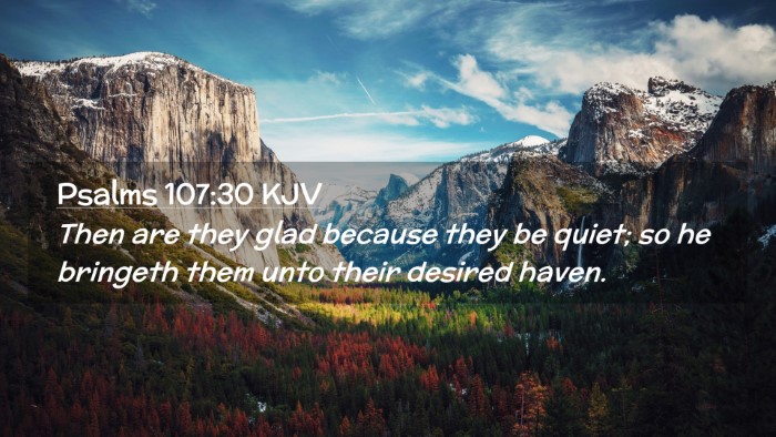 Picture 02 - Psalms 107:30 KJV Desktop Wallpaper - Then are they glad because they be quiet; so he - Desktop Bible Verse Wallpaper