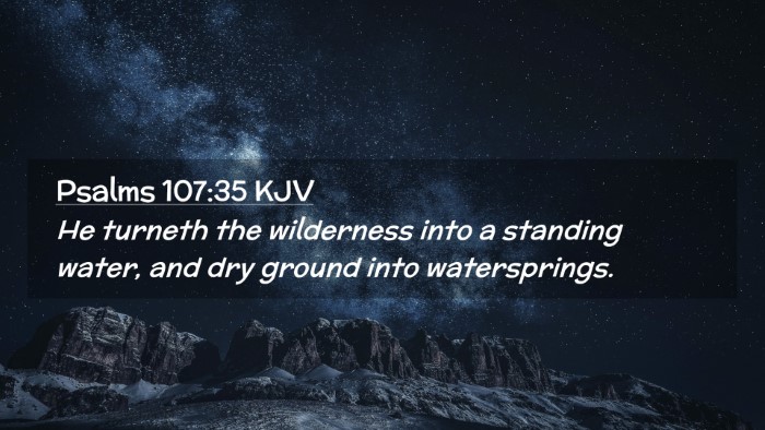 Picture 02 - Psalms 107:35 KJV Desktop Wallpaper - He turneth the wilderness into a standing water, - Desktop Bible Verse Wallpaper
