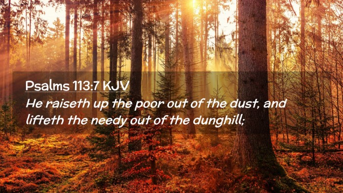 Picture 02 - Psalms 113:7 KJV Desktop Wallpaper - He raiseth up the poor out of the dust, and - Desktop Bible Verse Wallpaper