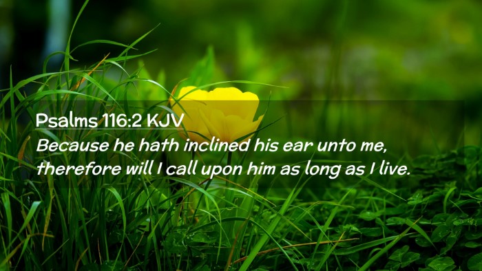 Picture 02 - Psalms 116:2 KJV Desktop Wallpaper - Because he hath inclined his ear unto me, - Desktop Bible Verse Wallpaper