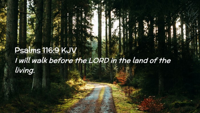 Picture 02 - Psalms 116:9 KJV Desktop Wallpaper - I will walk before the LORD in the land of the - Desktop Bible Verse Wallpaper