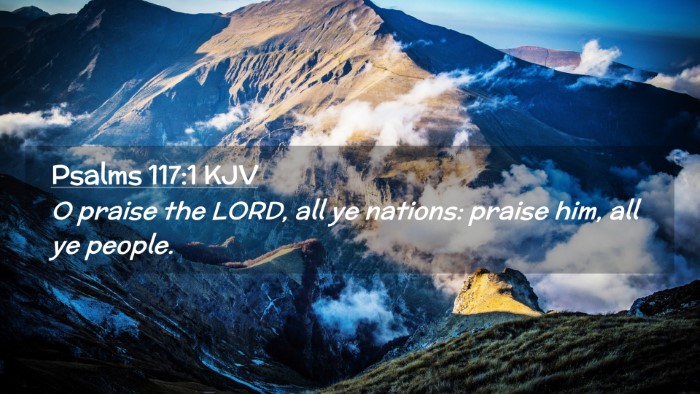 Picture 02 - Psalms 117:1 KJV Desktop Wallpaper - O praise the LORD, all ye nations: praise him, - Desktop Bible Verse Wallpaper