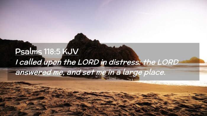 Picture 02 - Psalms 118:5 KJV Desktop Wallpaper - I called upon the LORD in distress: the LORD - Desktop Bible Verse Wallpaper
