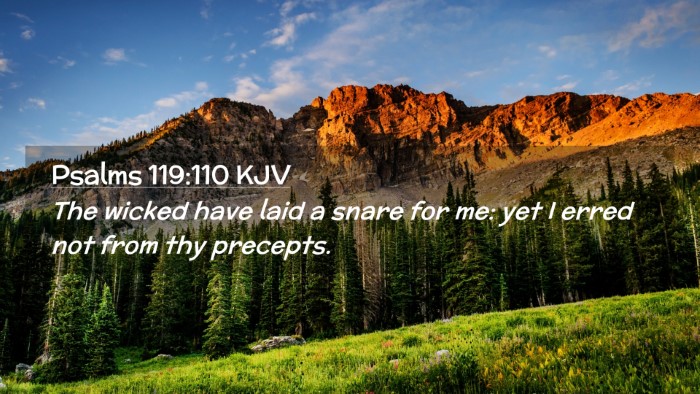 Picture 02 - Psalms 119:110 KJV Desktop Wallpaper - The wicked have laid a snare for me: yet I erred - Desktop Bible Verse Wallpaper