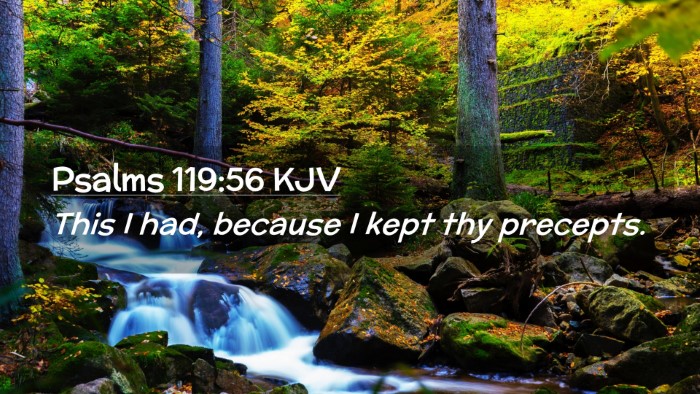 Picture 02 - Psalms 119:56 KJV Desktop Wallpaper - This I had, because I kept thy - Desktop Bible Verse Wallpaper