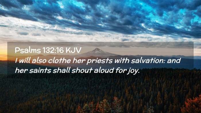 Picture 02 - Psalms 132:16 KJV Desktop Wallpaper - I will also clothe her priests with salvation: - Desktop Bible Verse Wallpaper
