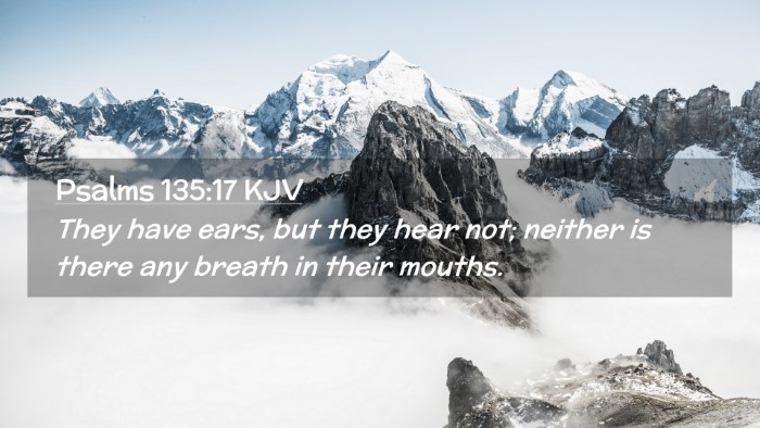 Picture 02 - Psalms 135:17 KJV Desktop Wallpaper - They have ears, but they hear not; neither is - Desktop Bible Verse Wallpaper