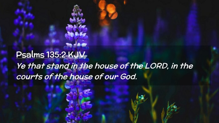 Picture 02 - Psalms 135:2 KJV Desktop Wallpaper - Ye that stand in the house of the LORD, in the - Desktop Bible Verse Wallpaper