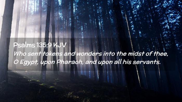 Picture 02 - Psalms 135:9 KJV Desktop Wallpaper - Who sent tokens and wonders into the midst of - Desktop Bible Verse Wallpaper