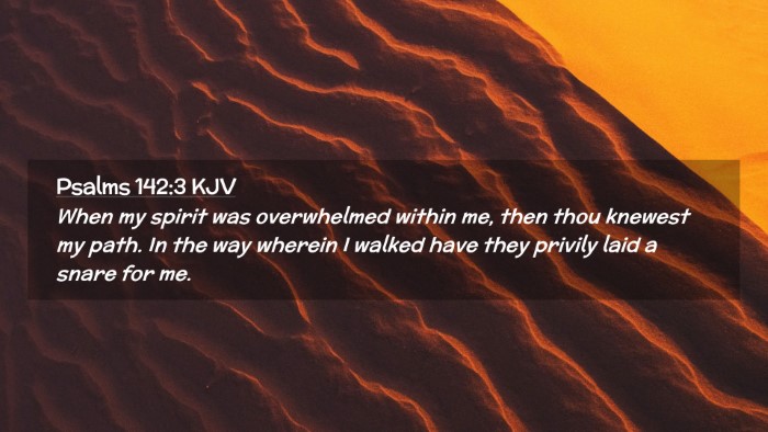 Picture 02 - Psalms 142:3 KJV Desktop Wallpaper - When my spirit was overwhelmed within me, then - Desktop Bible Verse Wallpaper