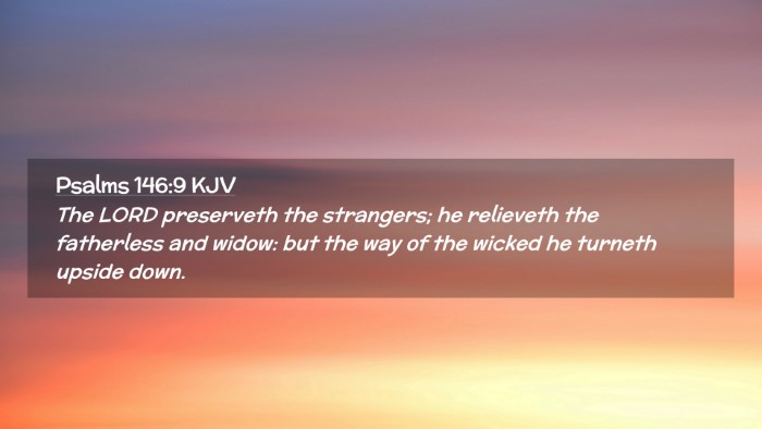 Picture 02 - Psalms 146:9 KJV Desktop Wallpaper - The LORD preserveth the strangers; he relieveth - Desktop Bible Verse Wallpaper
