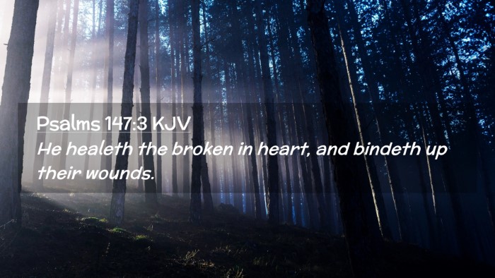 Picture 02 - Psalms 147:3 KJV Desktop Wallpaper - He healeth the broken in heart, and bindeth up - Desktop Bible Verse Wallpaper
