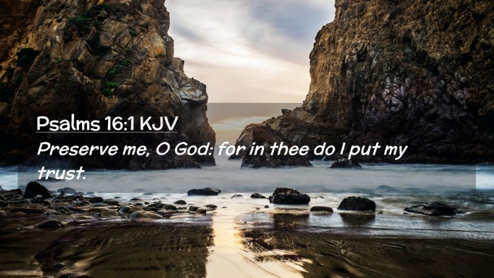 Picture 02 - Psalms 16:1 KJV Desktop Wallpaper - Preserve me, O God: for in thee do I put my - Desktop Bible Verse Wallpaper