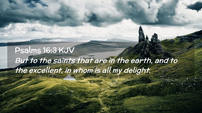 Picture 02 - Psalms 16:3 KJV Desktop Wallpaper - But to the saints that are in the earth, and to - Desktop Bible Verse Wallpaper