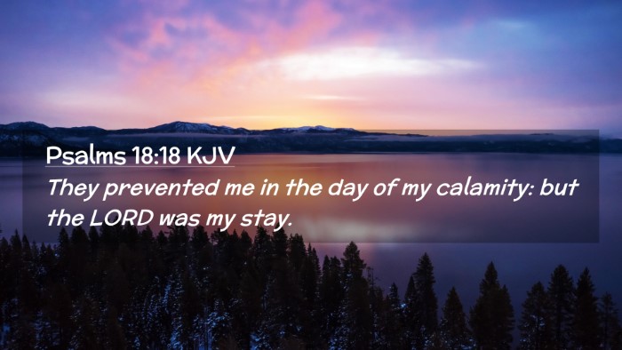 Picture 02 - Psalms 18:18 KJV Desktop Wallpaper - They prevented me in the day of my calamity: but - Desktop Bible Verse Wallpaper