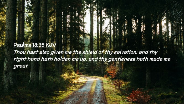 Picture 02 - Psalms 18:35 KJV Desktop Wallpaper - Thou hast also given me the shield of thy - Desktop Bible Verse Wallpaper