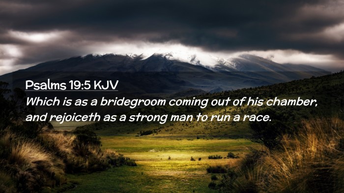Picture 02 - Psalms 19:5 KJV Desktop Wallpaper - Which is as a bridegroom coming out of his - Desktop Bible Verse Wallpaper