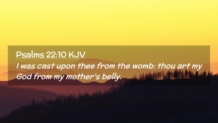 Picture 02 - Psalms 22:10 KJV Desktop Wallpaper - I was cast upon thee from the womb: thou art my - Desktop Bible Verse Wallpaper