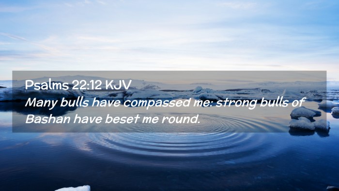 Picture 02 - Psalms 22:12 KJV Desktop Wallpaper - Many bulls have compassed me: strong bulls of - Desktop Bible Verse Wallpaper