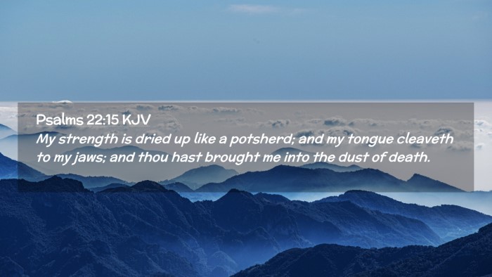 Picture 02 - Psalms 22:15 KJV Desktop Wallpaper - My strength is dried up like a potsherd; and my - Desktop Bible Verse Wallpaper