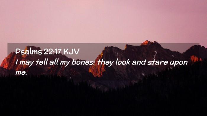 Picture 02 - Psalms 22:17 KJV Desktop Wallpaper - I may tell all my bones: they look and stare upon - Desktop Bible Verse Wallpaper