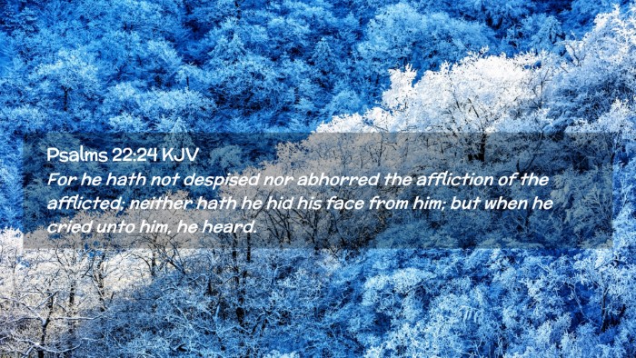 Picture 02 - Psalms 22:24 KJV Desktop Wallpaper - For he hath not despised nor abhorred the - Desktop Bible Verse Wallpaper