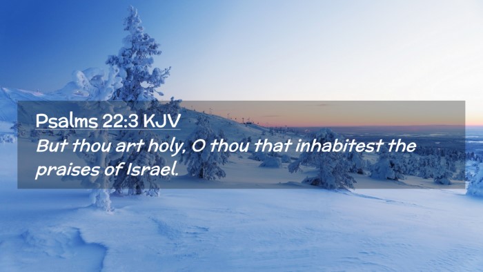 Picture 02 - Psalms 22:3 KJV Desktop Wallpaper - But thou art holy, O thou that inhabitest the - Desktop Bible Verse Wallpaper