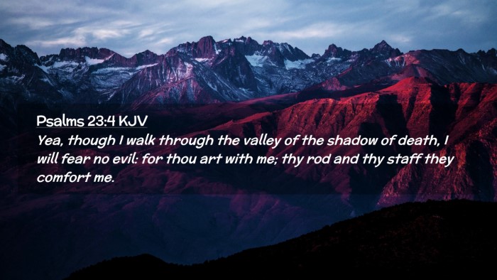 Picture 02 - Psalms 23:4 KJV Desktop Wallpaper - Yea, though I walk through the valley of the - Desktop Bible Verse Wallpaper