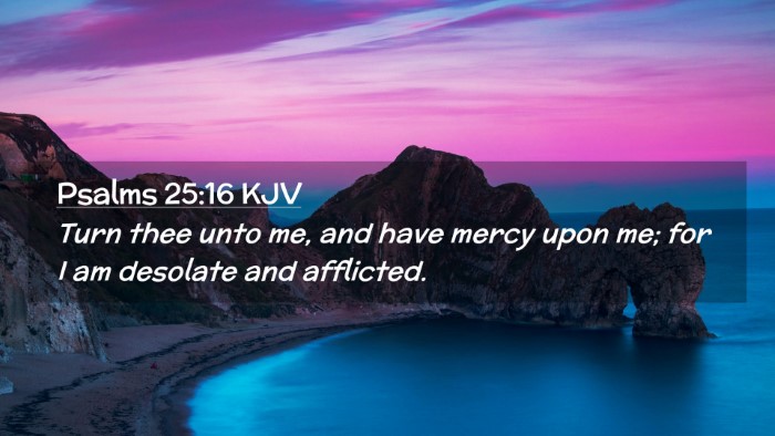 Picture 02 - Psalms 25:16 KJV Desktop Wallpaper - Turn thee unto me, and have mercy upon me; for I - Desktop Bible Verse Wallpaper
