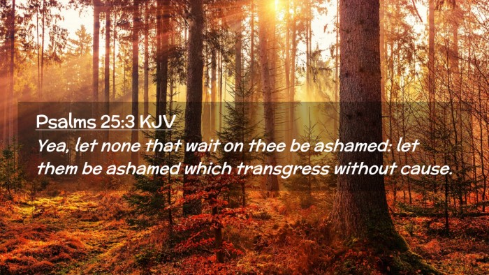 Picture 02 - Psalms 25:3 KJV Desktop Wallpaper - Yea, let none that wait on thee be ashamed: let - Desktop Bible Verse Wallpaper
